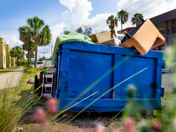 Best Local Junk Hauling  in New Union, TN